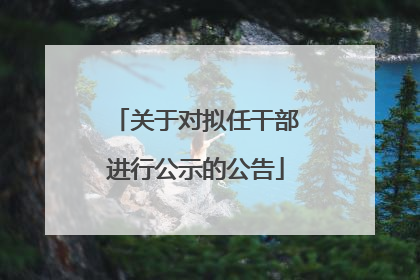 关于对拟任干部进行公示的公告