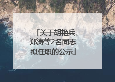 关于胡艳兵、郑涛等2名同志拟任职的公示
