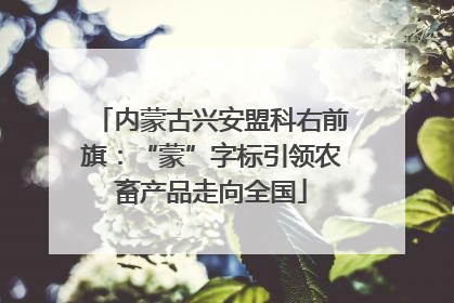 内蒙古兴安盟科右前旗：“蒙”字标引领农畜产品走向全国