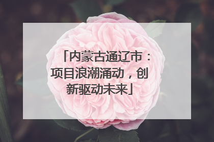 内蒙古通辽市：项目浪潮涌动，创新驱动未来
