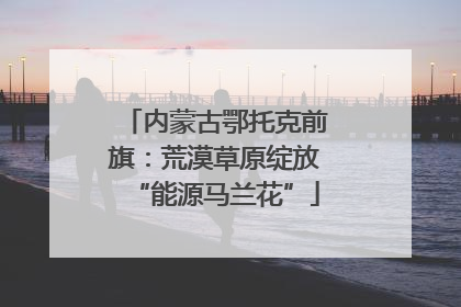 内蒙古鄂托克前旗：荒漠草原绽放“能源马兰花”