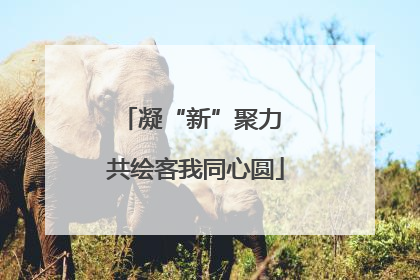 凝“新”聚力 共绘客我同心圆