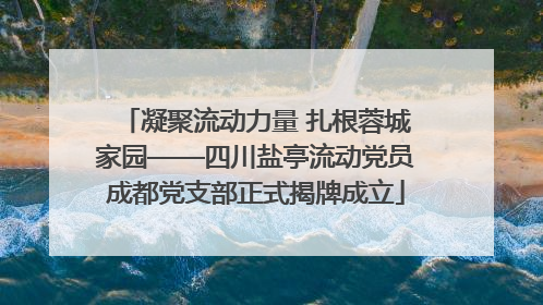凝聚流动力量 扎根蓉城家园——四川盐亭流动党员成都党支部正式揭牌成立