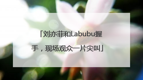 刘亦菲和Labubu握手,现场观众一片尖叫