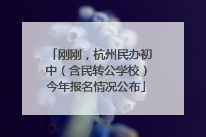 刚刚，杭州民办初中（含民转公学校）今年报名情况公布