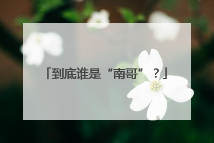 到底谁是“南哥”？