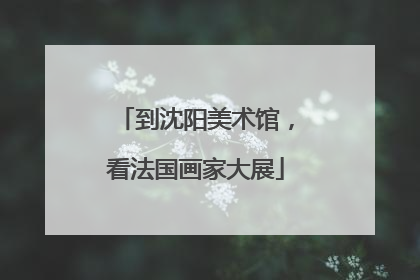到沈阳美术馆，看法国画家大展