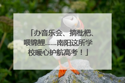 办音乐会、摘枇杷、喂锦鲤……南阳这所学校暖心护航高考！