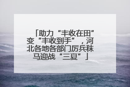 助力“丰收在田”变“丰收到手”，河北各地各部门厉兵秣马迎战“三夏”