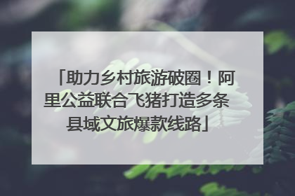 助力乡村旅游破圈！阿里公益联合飞猪打造多条县域文旅爆款线路