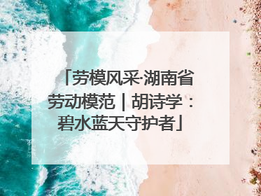 劳模风采·湖南省劳动模范｜胡诗学：碧水蓝天守护者
