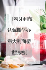 匈牙利布达佩斯举办意大利面桥世锦赛