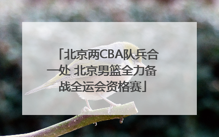 北京两CBA队兵合一处 北京男篮全力备战全运会资格赛