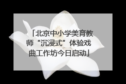 北京中小学美育教师“沉浸式”体验戏曲工作坊今日启动