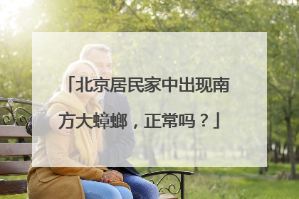 北京居民家中出现南方大蟑螂,正常吗?