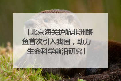 北京海关护航非洲鳉鱼首次引入我国，助力生命科学前沿研究
