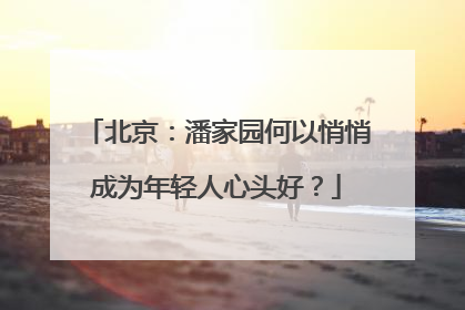 北京：潘家园何以悄悄成为年轻人心头好？