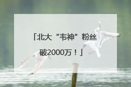 北大“韦神”粉丝破2000万！