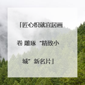 匠心织就宜居画卷 雕琢“精致小城”新名片