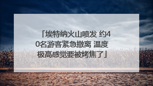 埃特纳火山喷发 约40名游客紧急撤离 温度极高感觉要被烤焦了