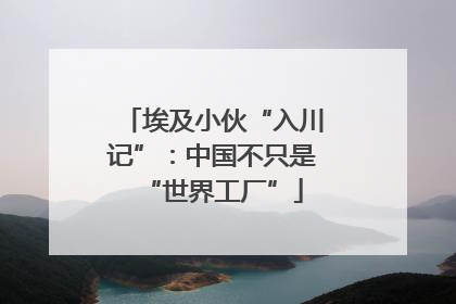埃及小伙“入川记”：中国不只是“世界工厂”