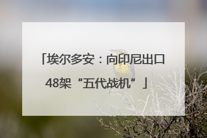 埃尔多安：向印尼出口48架“五代战机”