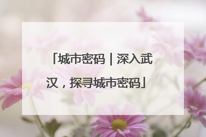 城市密码｜深入武汉，探寻城市密码