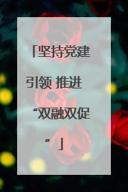 坚持党建引领 推进“双融双促”