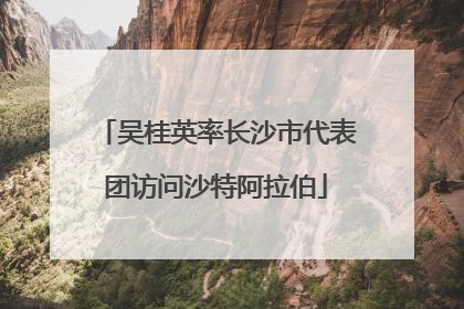 吴桂英率长沙市代表团访问沙特阿拉伯