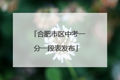 合肥市区中考一分一段表发布