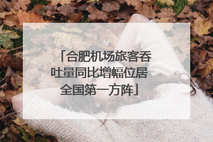 合肥机场旅客吞吐量同比增幅位居全国第一方阵