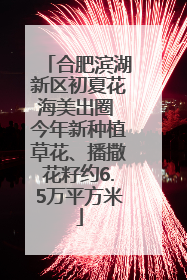 合肥滨湖新区初夏花海美出圈 今年新种植草花、播撒花籽约6.5万平方米