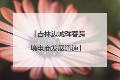 吉林边城珲春跨境电商发展迅速
