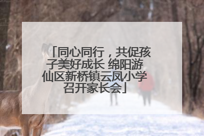 同心同行，共促孩子美好成长 绵阳游仙区新桥镇云凤小学召开家长会