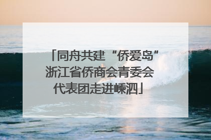 同舟共建“侨爱岛” 浙江省侨商会青委会代表团走进嵊泗