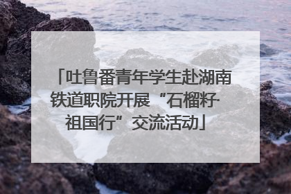 吐鲁番青年学生赴湖南铁道职院开展“石榴籽·祖国行”交流活动
