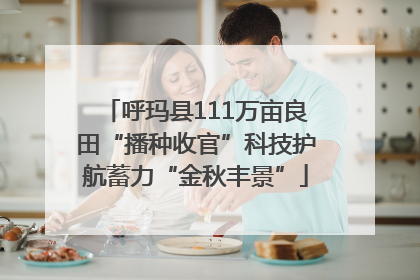 呼玛县111万亩良田“播种收官”科技护航蓄力“金秋丰景”