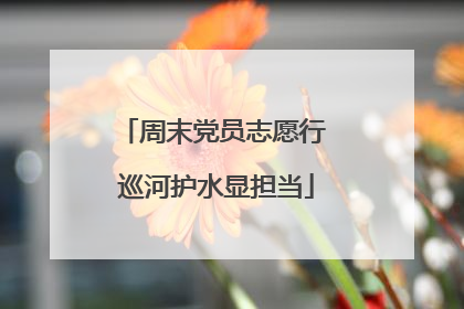 周末党员志愿行 巡河护水显担当