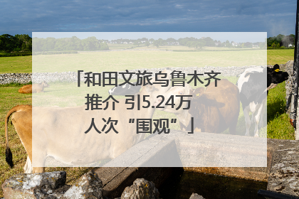 和田文旅乌鲁木齐推介 引5.24万人次“围观”