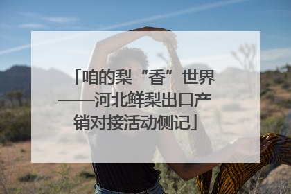 咱的梨“香”世界——河北鲜梨出口产销对接活动侧记