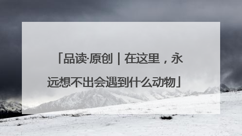 品读·原创｜在这里，永远想不出会遇到什么动物