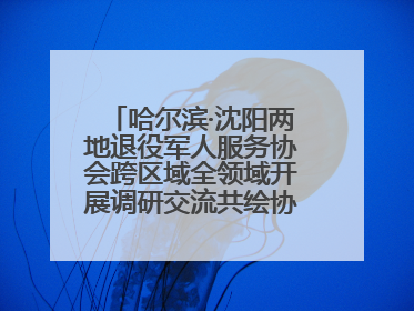 哈尔滨·沈阳两地退役军人服务协会跨区域全领域开展调研交流共绘协同发展