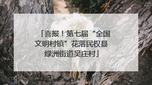 喜报！第七届“全国文明村镇”花落民权县绿洲街道吴庄村