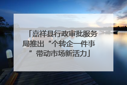 嘉祥县行政审批服务局推出“个转企一件事”带动市场新活力