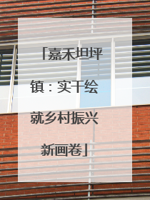 嘉禾坦坪镇：实干绘就乡村振兴新画卷
