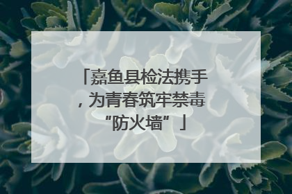 嘉鱼县检法携手，为青春筑牢禁毒“防火墙”