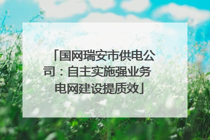 国网瑞安市供电公司：自主实施强业务 电网建设提质效