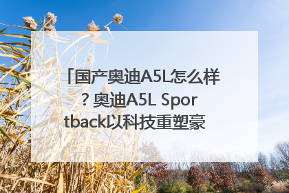 国产奥迪A5L怎么样？奥迪A5L Sportback以科技重塑豪华运动轿车市场格局