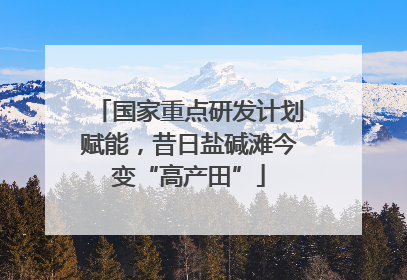 国家重点研发计划赋能，昔日盐碱滩今变“高产田”