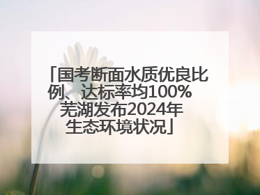 国考断面水质优良比例、达标率均100% 芜湖发布2024年生态环境状况